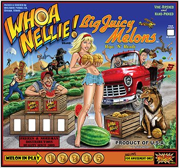 whoa nellie pinball machine