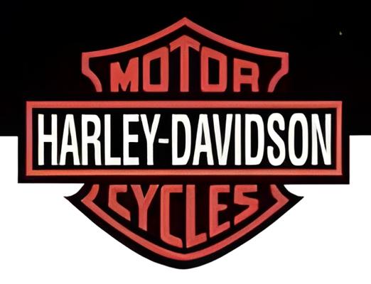 Sega Harley-Davidson & L.A. Riders Deluxe Arcade | Liberty Games