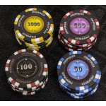 Pro Poker 500 Piece Numbered Poker Chip Set - 14g | Liberty Games